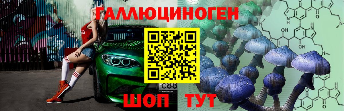 Галлюциногенные грибы GOLDEN TEACHER  Вход с VPN  Алатырь 
